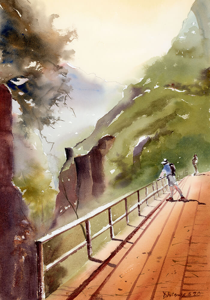 forest