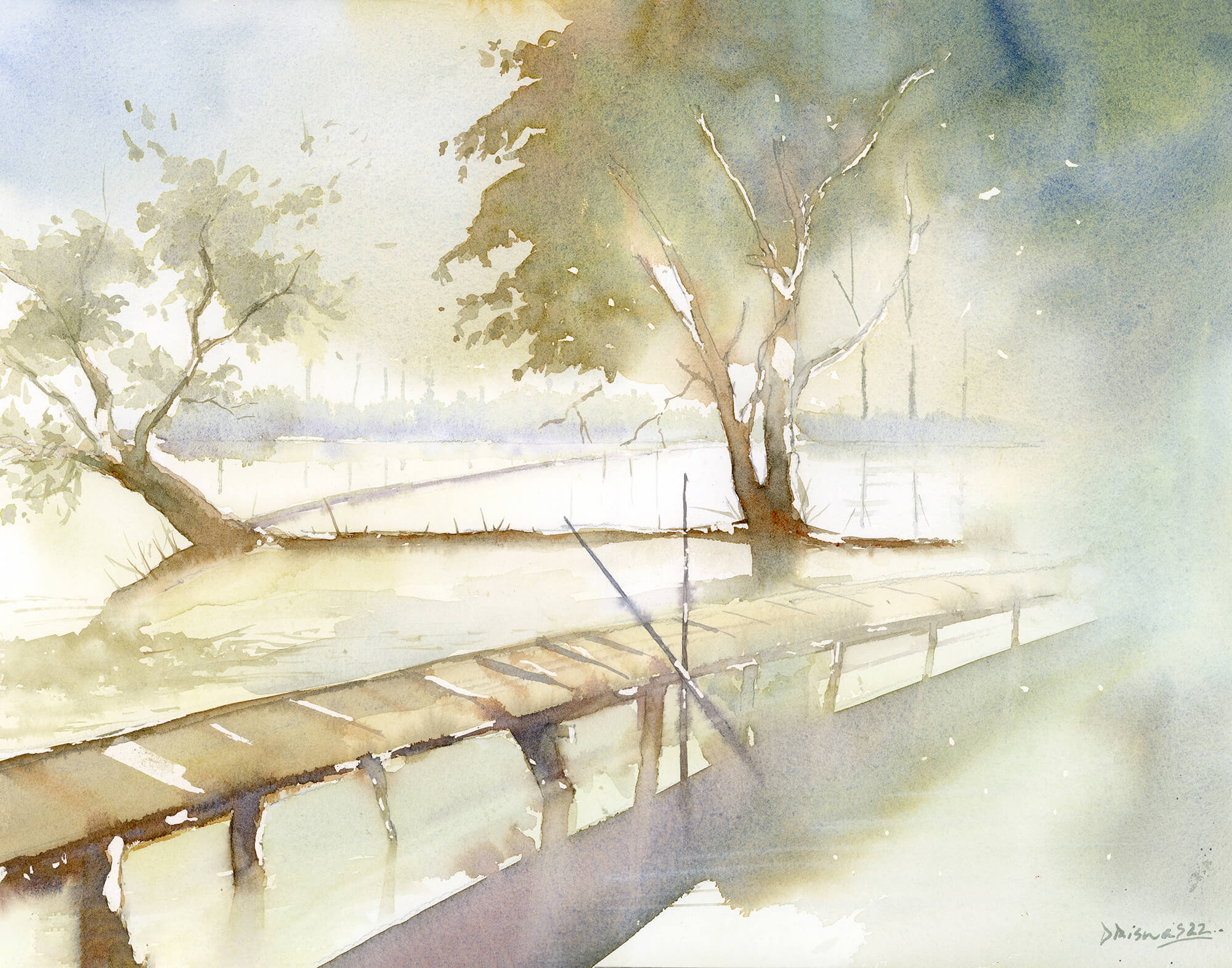 forest