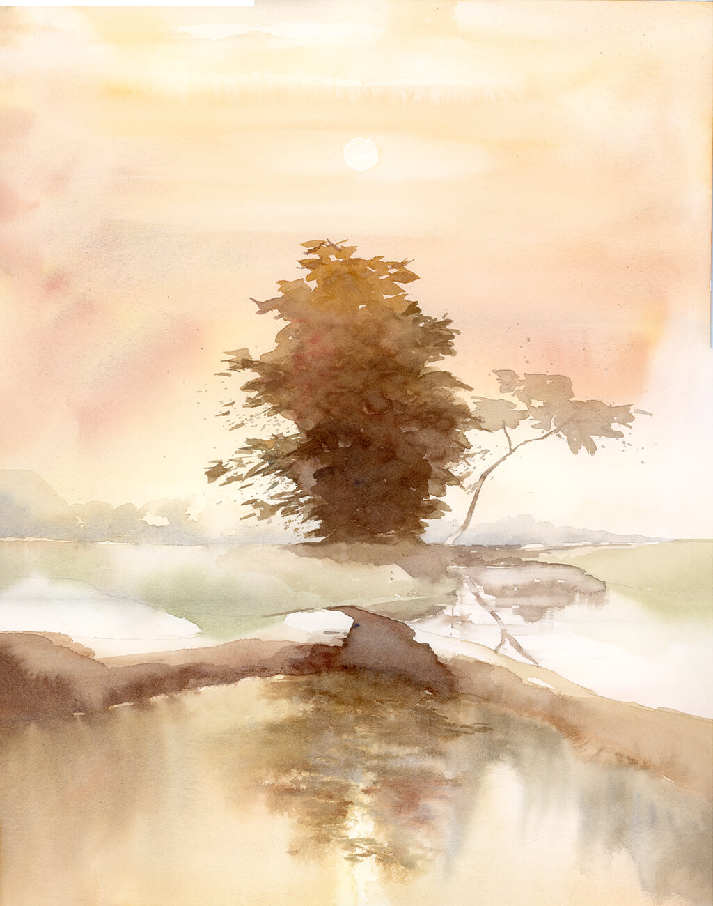 forest