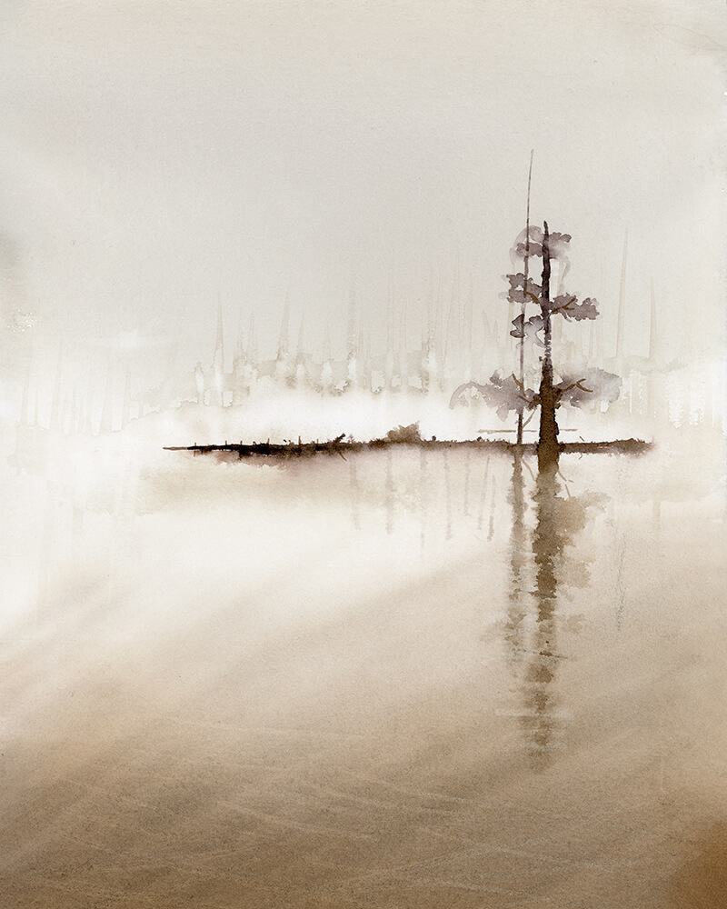 forest