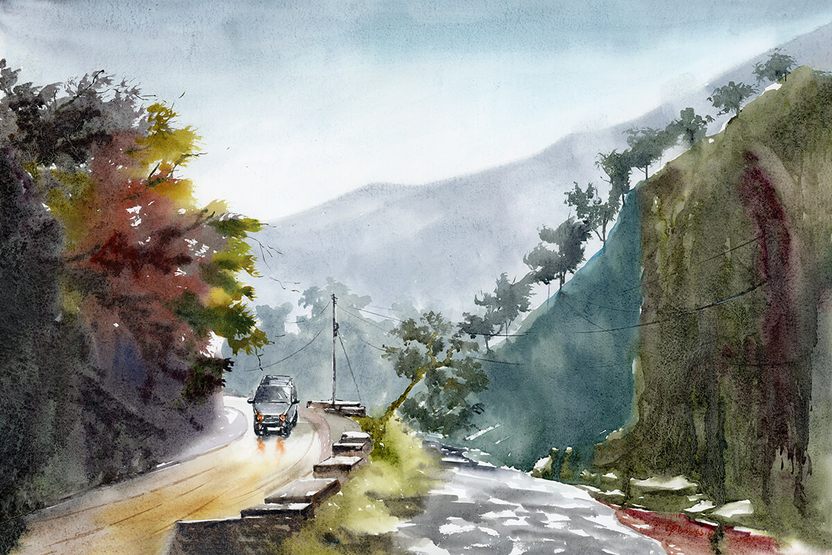 forest