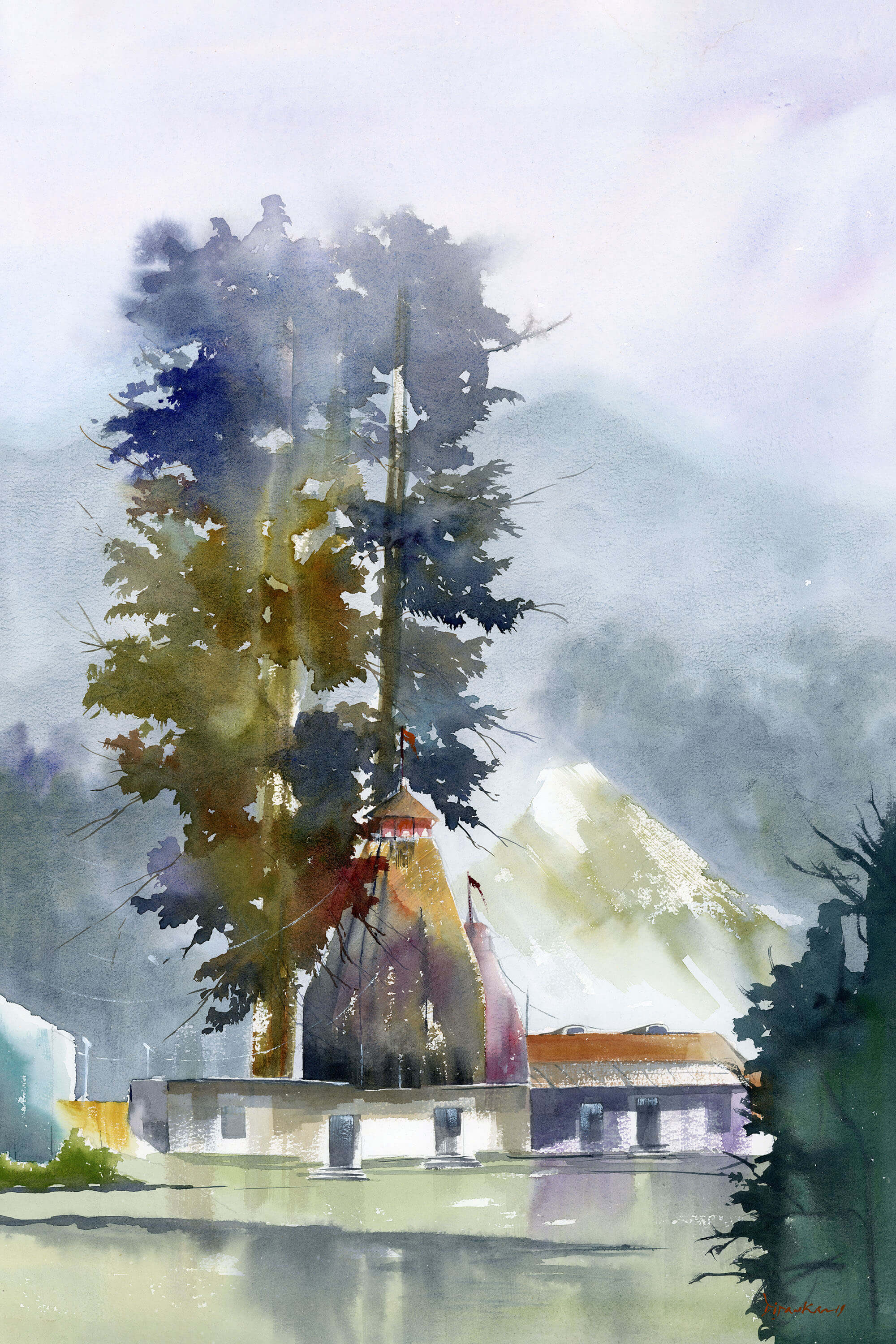 forest