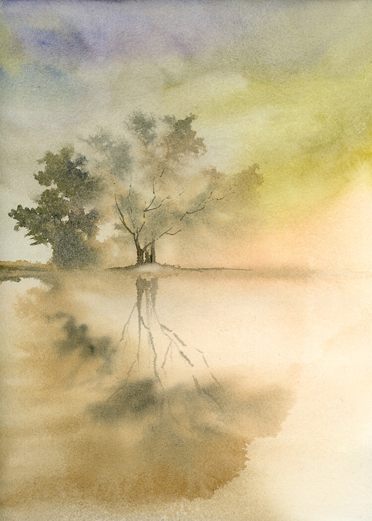 forest