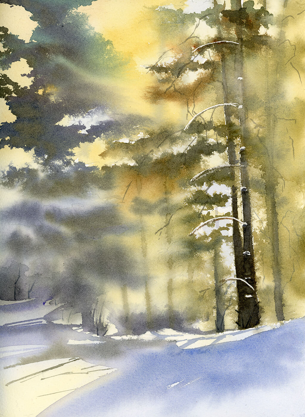 forest