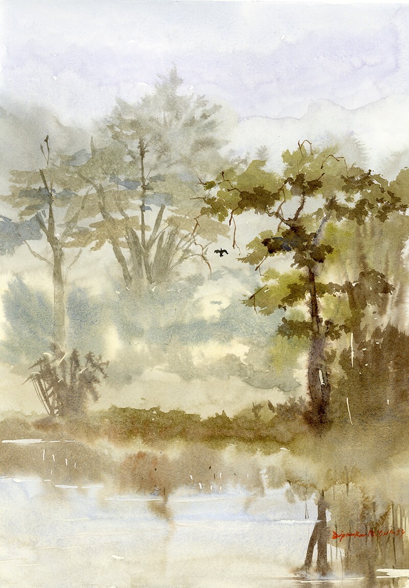 forest