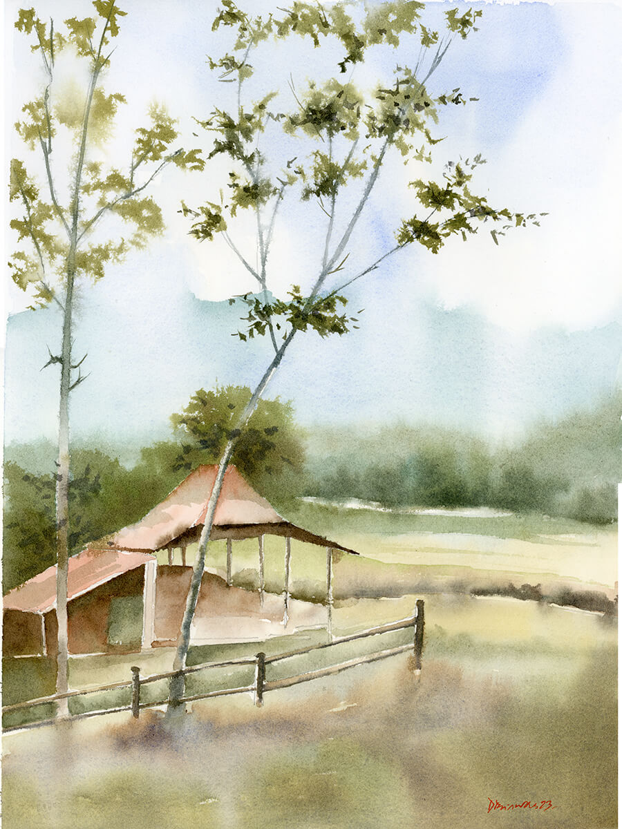 forest