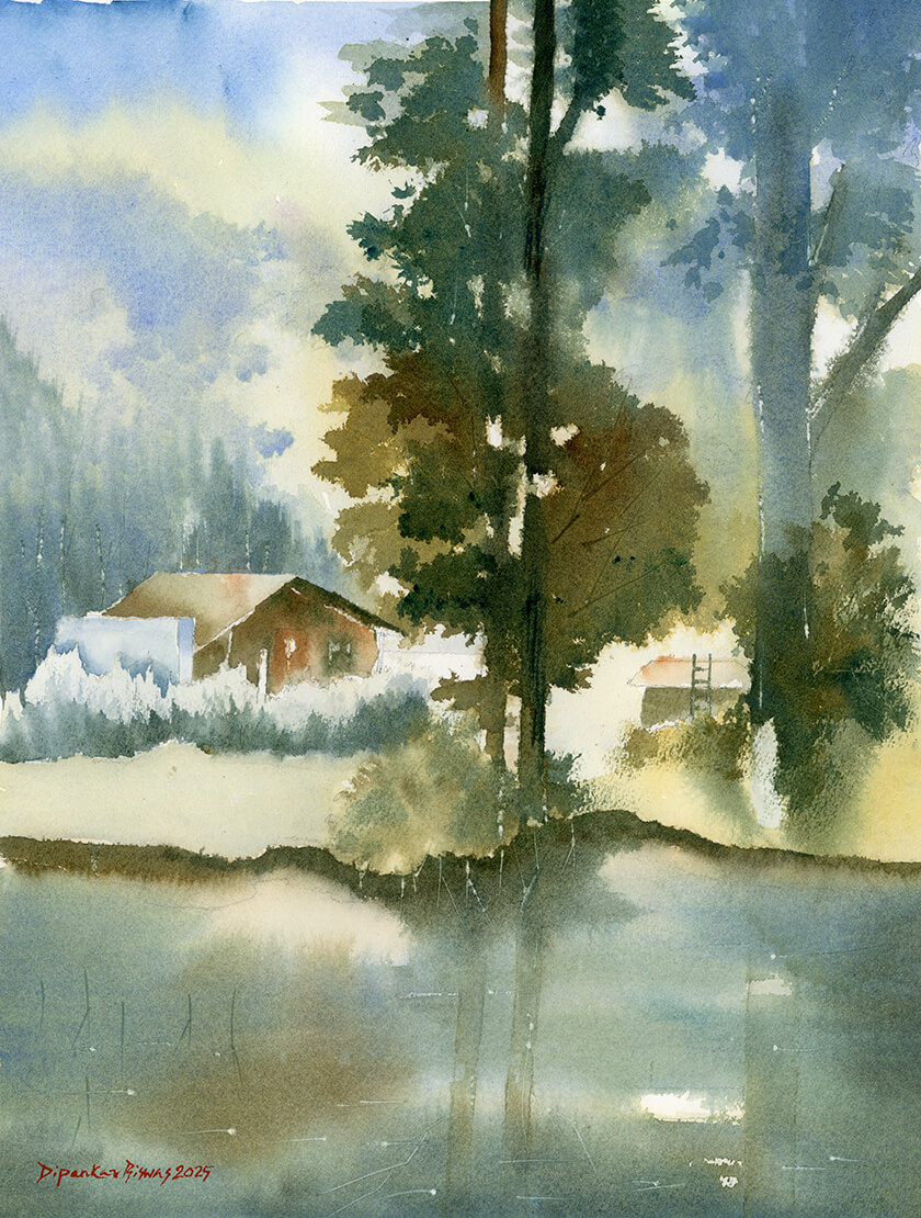 forest